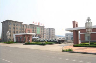 【荣誉篇】祝贺山东圆友重工科技有限公司荣获“潍坊市2022年隐形冠军”称号